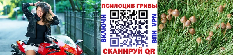 гидра как войти  Слюдянка  Псилоцибиновые грибы Magic Shrooms 